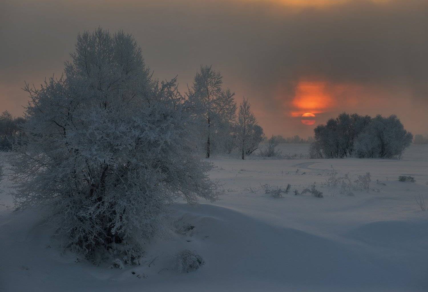 , Олег Пожарков