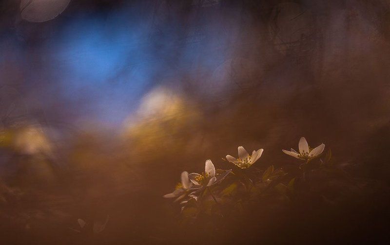 Весенний Валдай фото превью