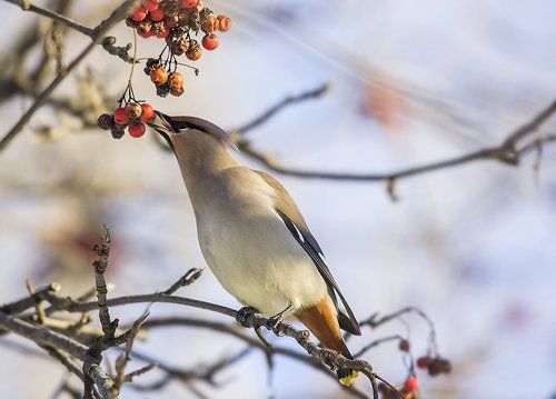 Дай я тебя поцелую!