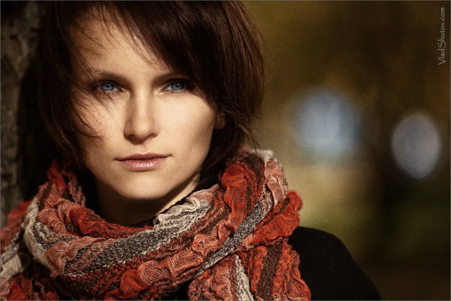 , Влад Шутов