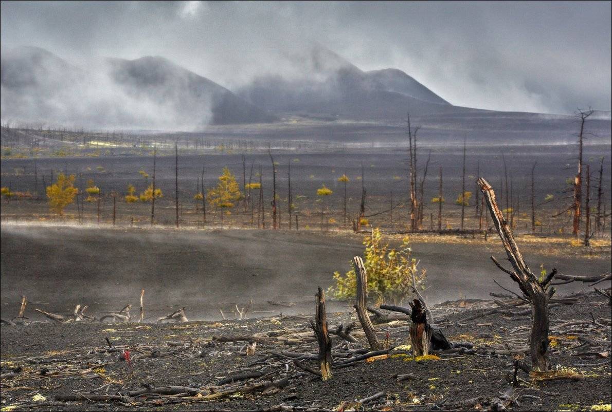 , Вадим Никифоров