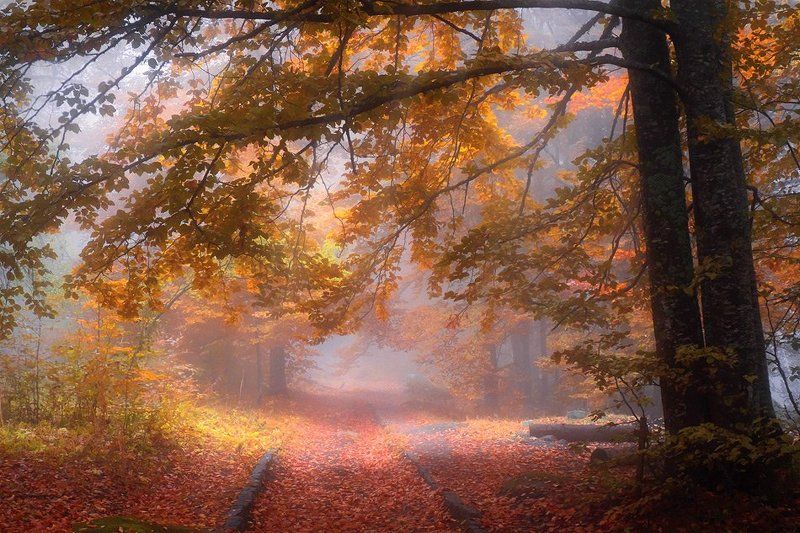 bulgaria  фото превью