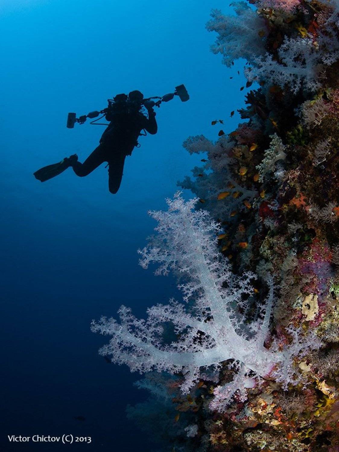 , Виктор Чистов