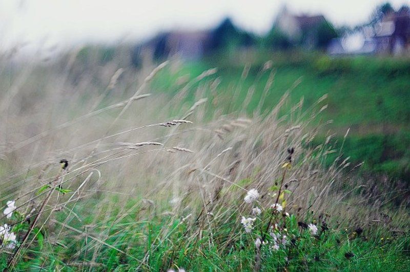 Из полей уносится печаль фото превью