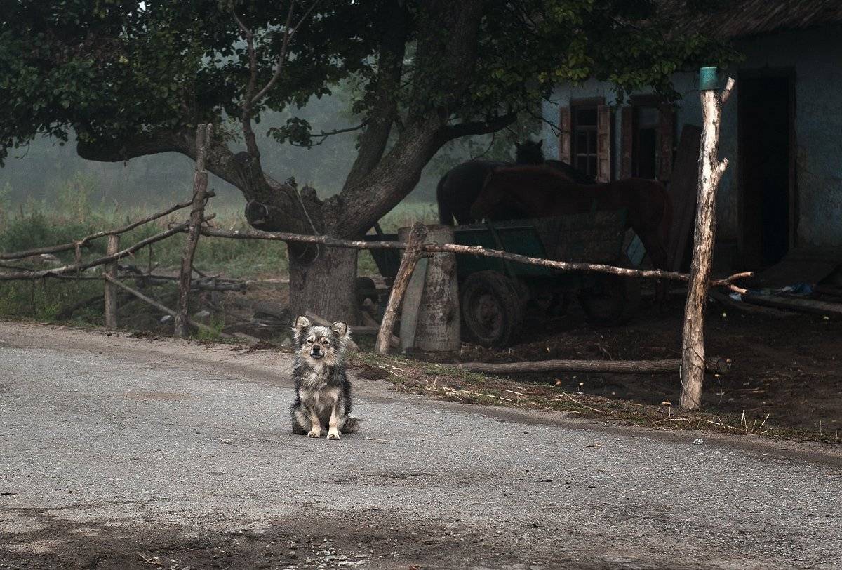 , Валерий Смирнов