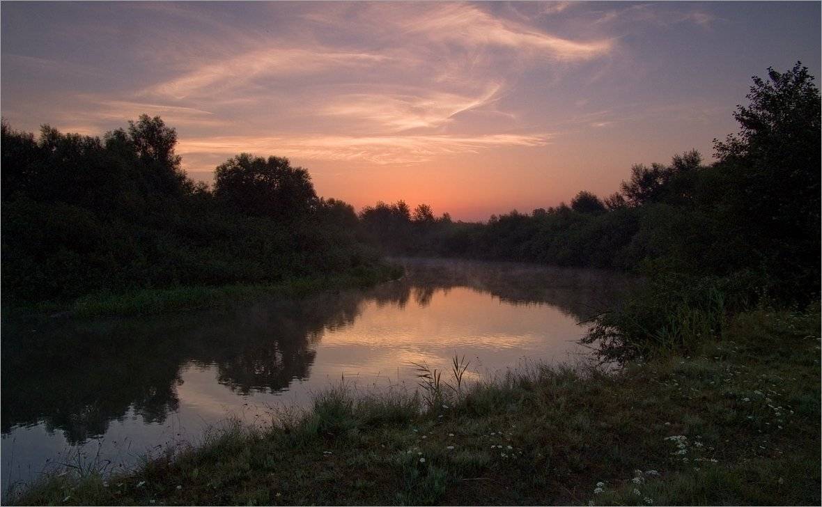 , Николай Шахманцир