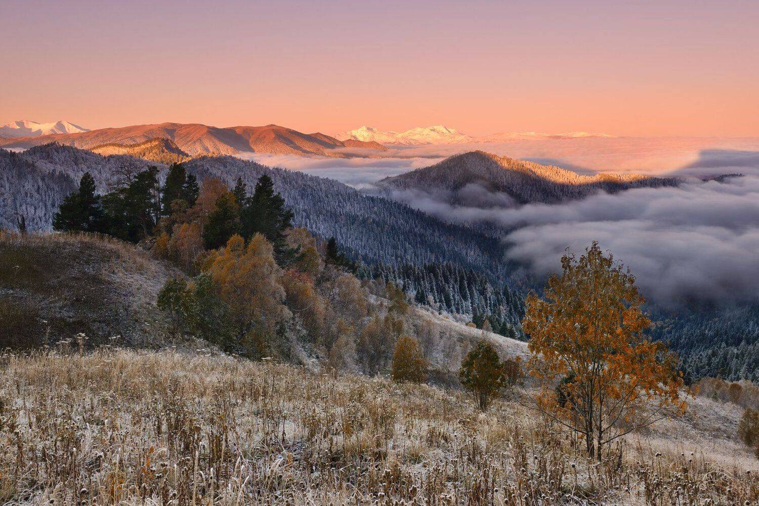 , Максим Евдокимов