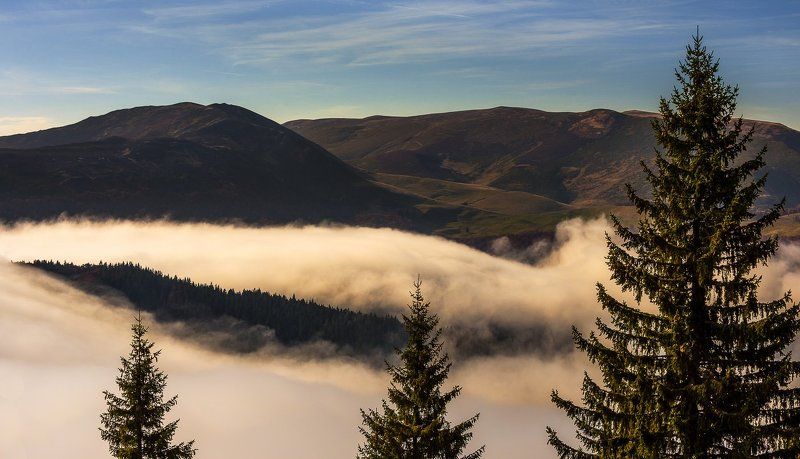 Fog, Landscape, Nature, Sunrise Little brothers фото превью