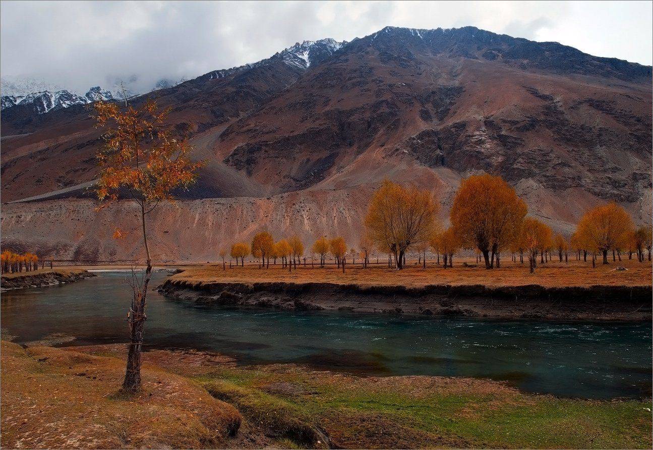 , Алексеевич