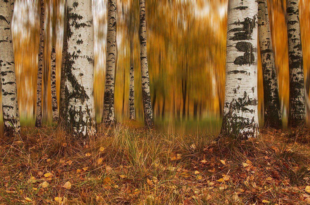 , Аркадий Белов