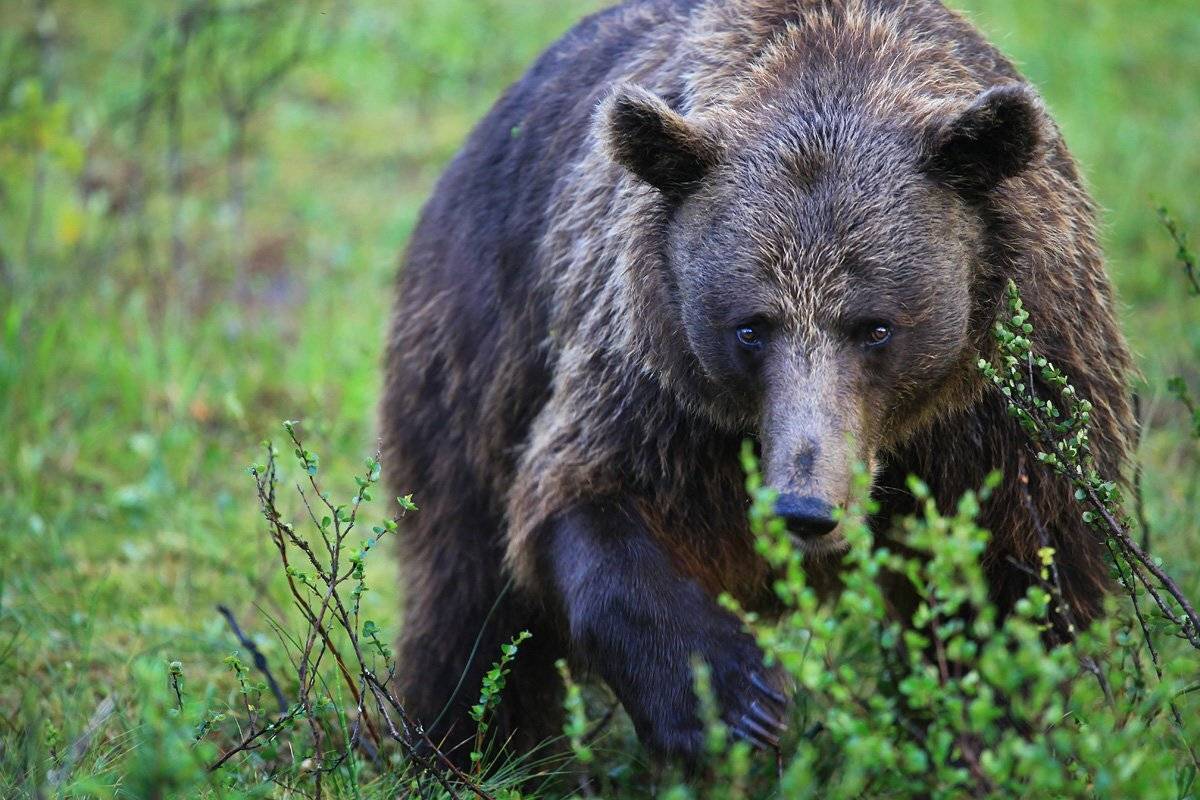 , Valtteri Mulkahainen