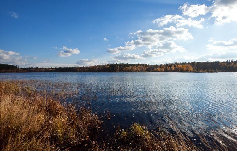 ** фото превью