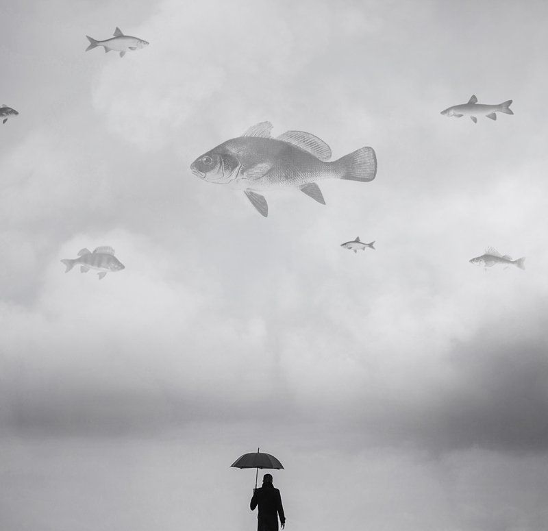 Арт, Зонт, Коллаж, Мужчина, Небо, Рыба, Черное-белая фотография Hello, Dali! фото превью