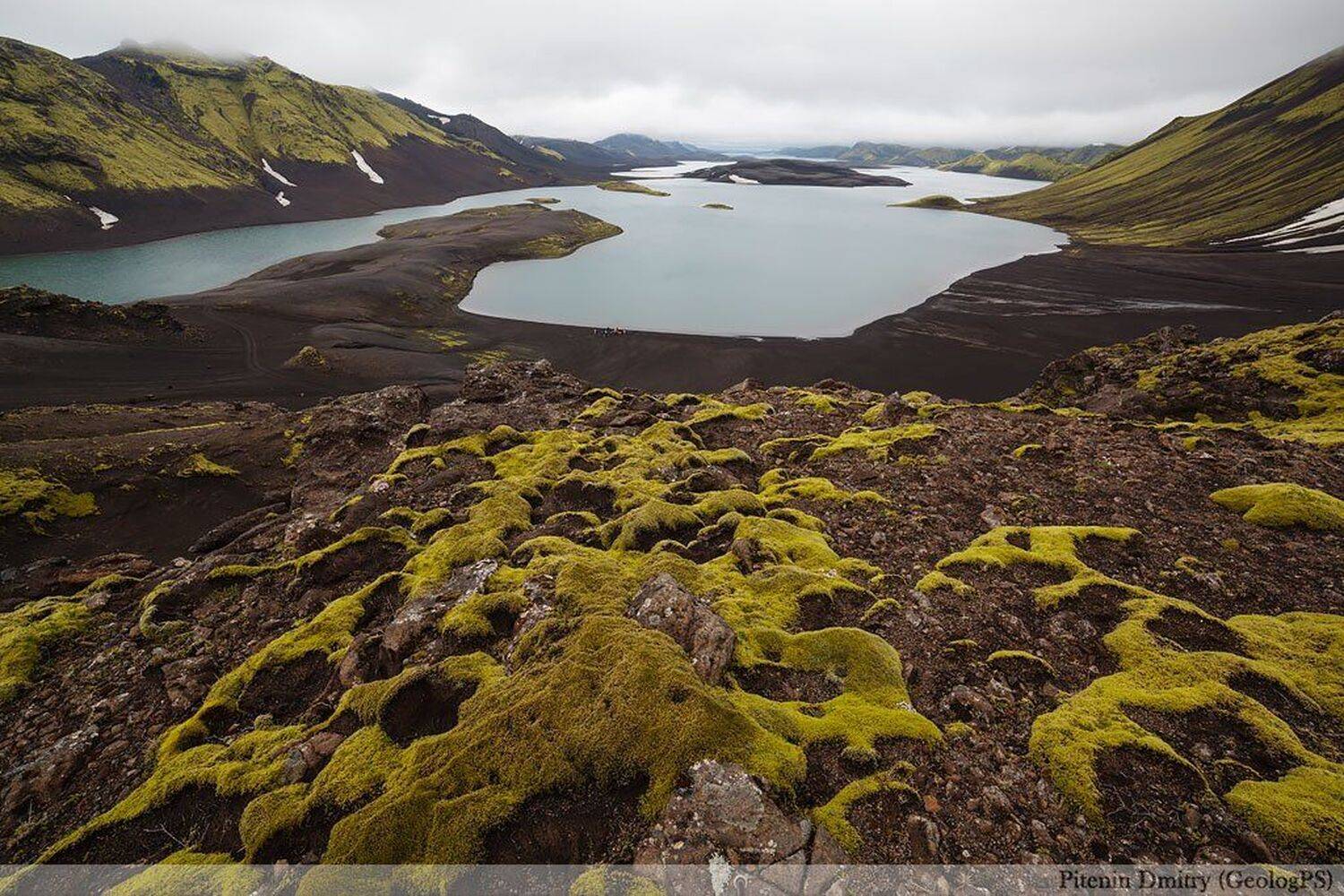 , Питенин Дмитрий