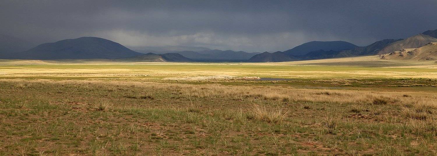 , Артем Головин