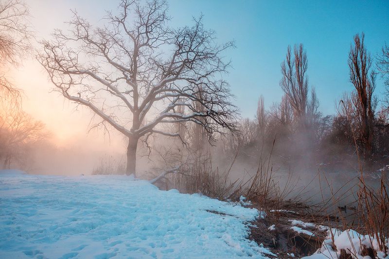 зима утро рассвет  фото превью