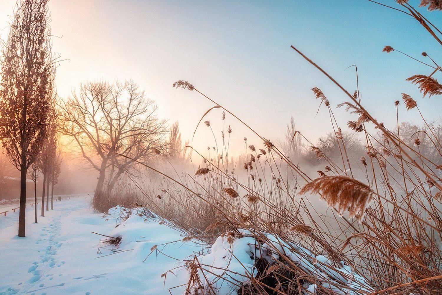 зима утро рассвет, EKATERINA WALTER