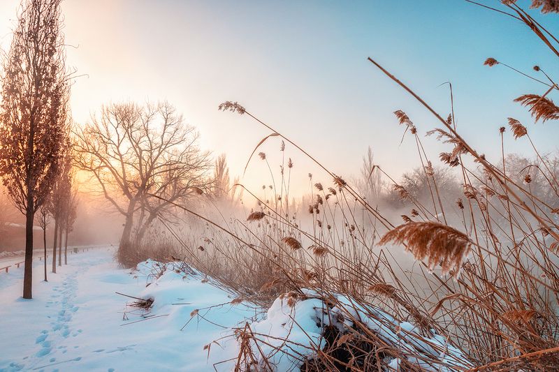 зима утро рассвет морозное утро фото превью