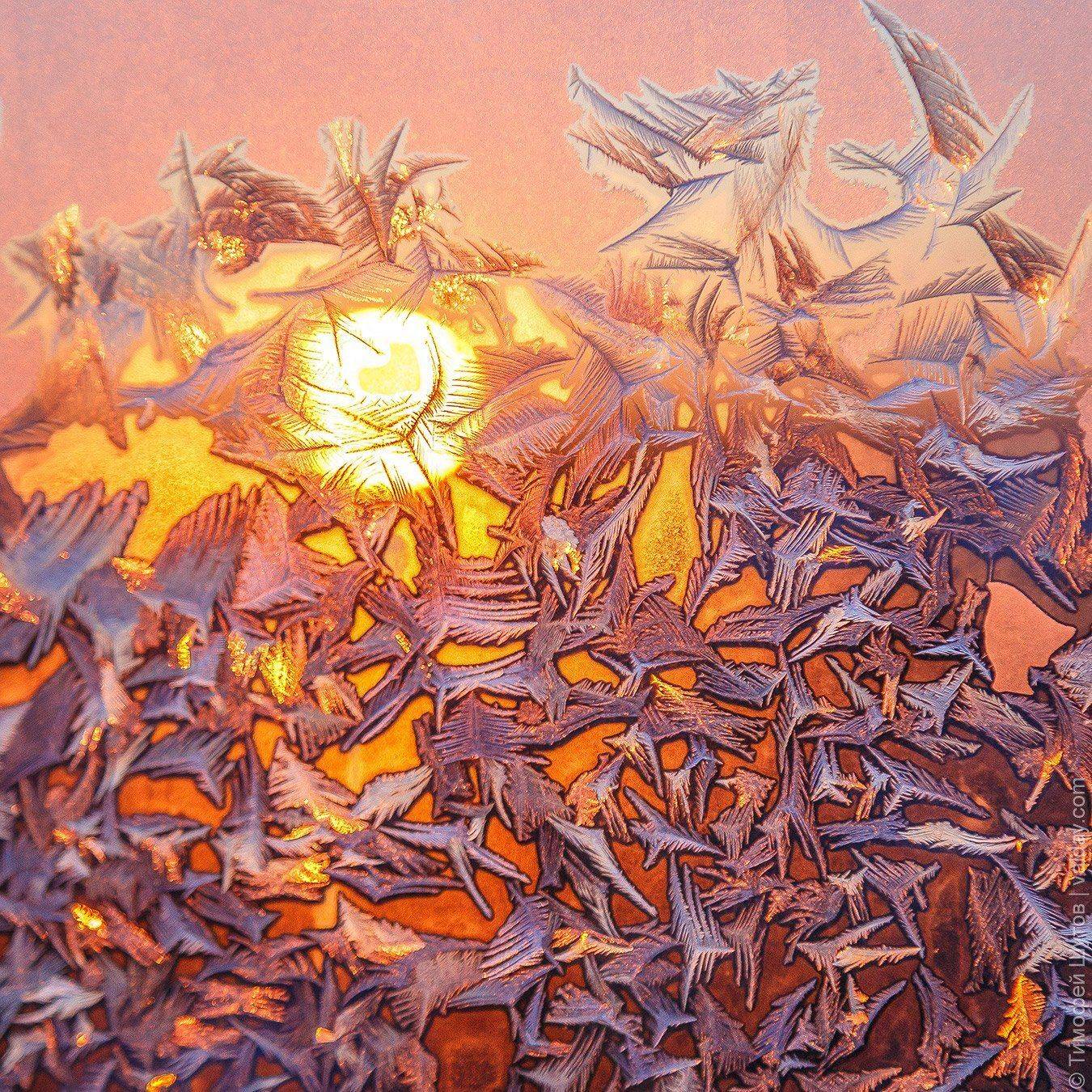 , Тимофей Шутов