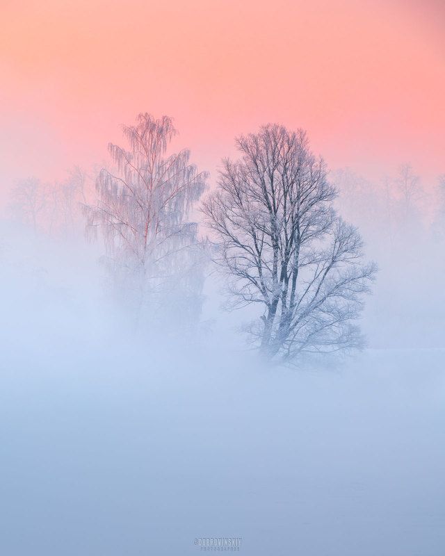 истра, река, туман, иней, рассвет, деревья Двое фото превью