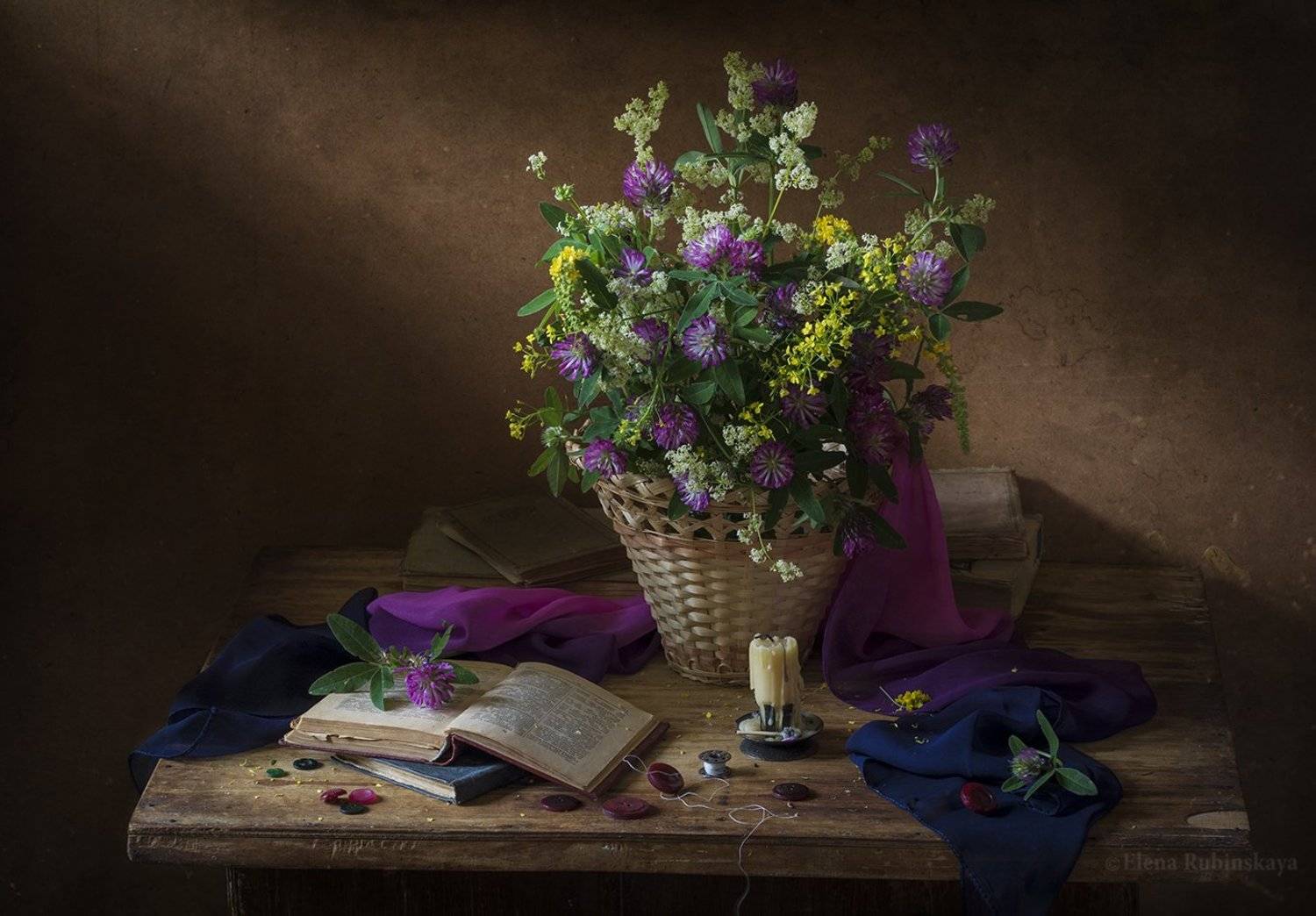 , Елена Рубинская