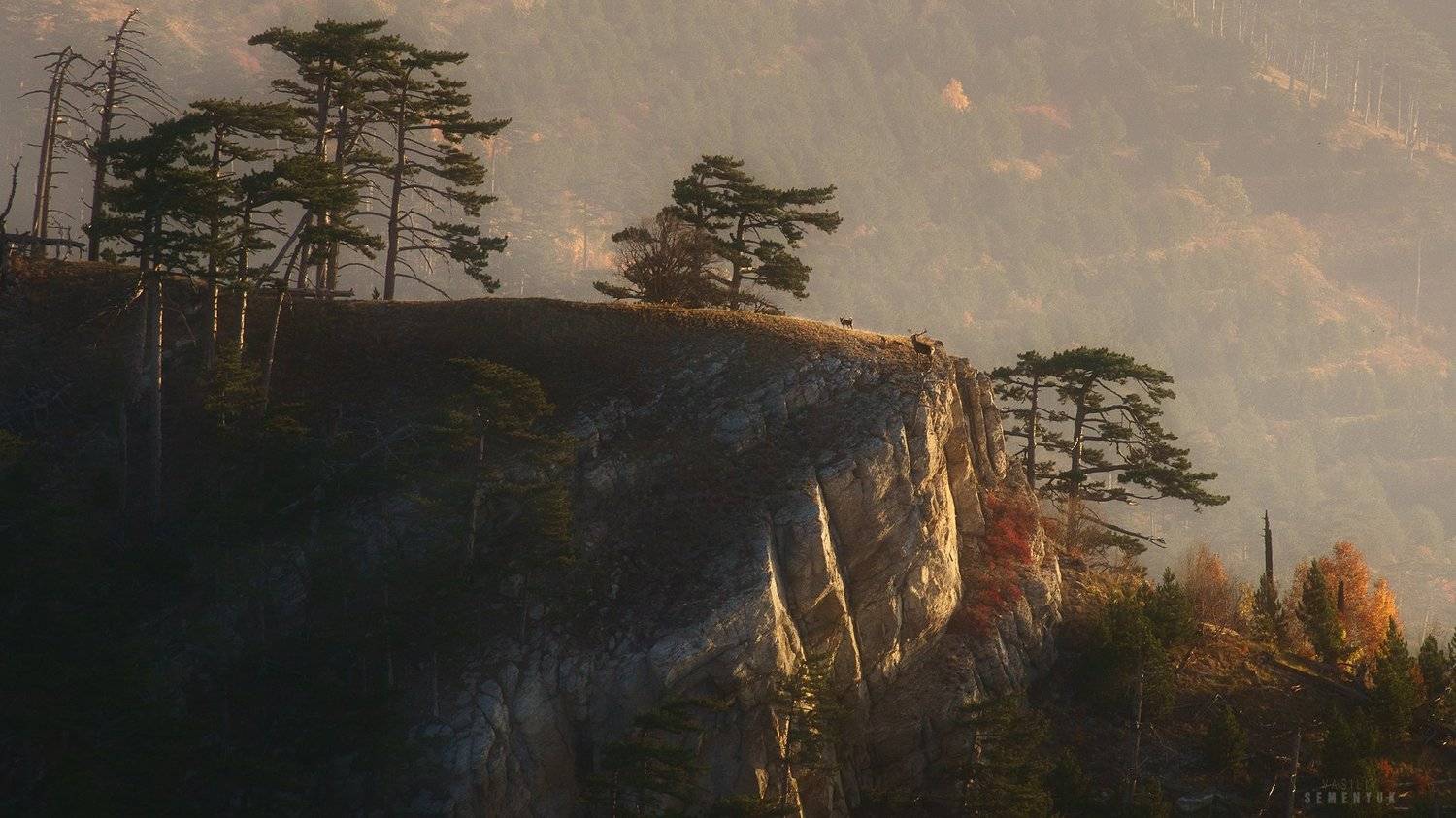 крым, ялта, иограф, никитская яйла, утро, рассвет, олень, горы, crimea, mountain, deer, dawn, sunrise., Семенюк Василий