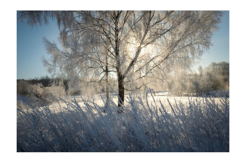 мороз зима солнце свет лучи иней снег Последние Мартовские морозы фото превью