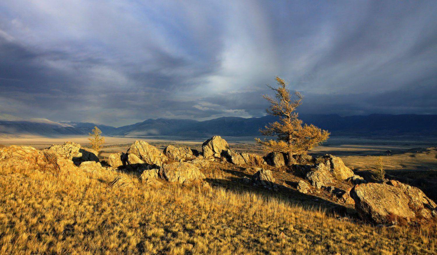 алтай, республика алтай, курай, курайская степь, Галина Хвостенко
