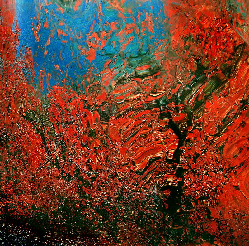 За грибами! фото превью