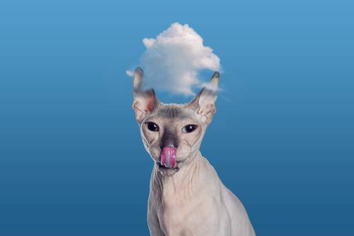 Heaven. I'm in Heaven. 