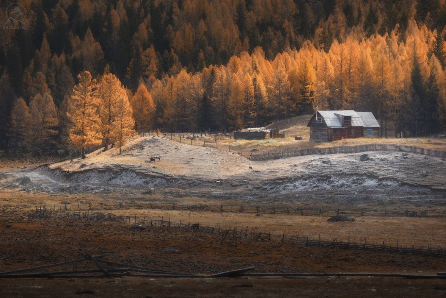 алтай, осень, горы, долина, Анатолий Гордиенко