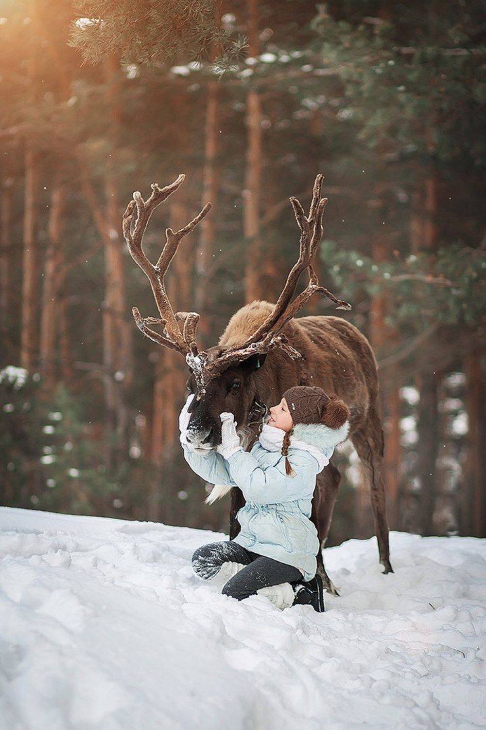 зима, снег, олень, животное, рога, девочка, милая, красивый, портрет, солнце, день, солнечный, Мила Шелест
