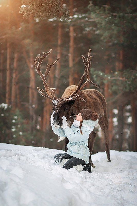 зима, снег, олень, животное, рога, девочка, милая, красивый, портрет, солнце, день, солнечный *** фото превью