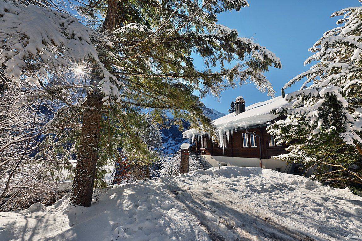 swiss, Матвеев Николай