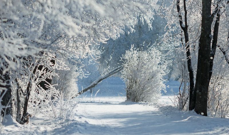 пушкин, царскоесело, царское, спб ... фото превью