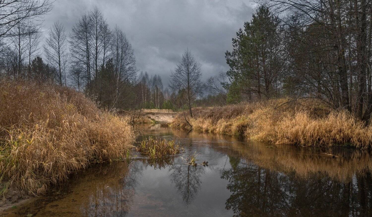 река осень пасмурный день, Андрей Колесов