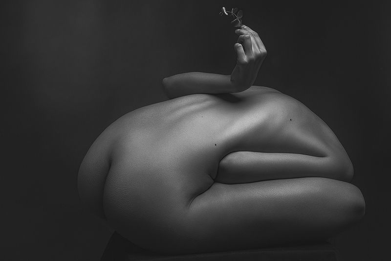 Паросток фото превью