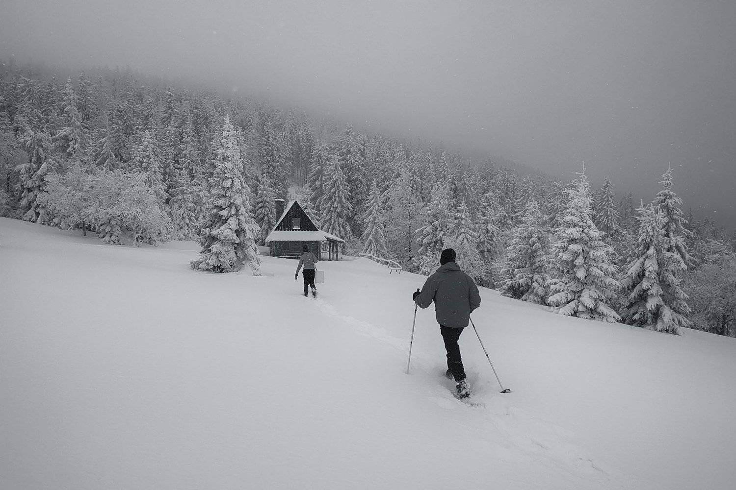 snow,tree,mountains,winter,frozen, people, Rafal