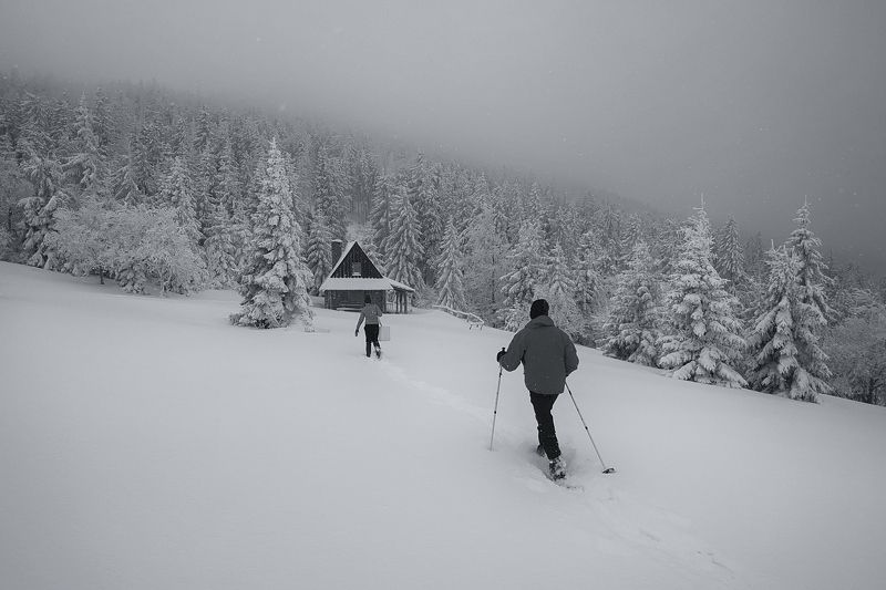 snow,tree,mountains,winter,frozen, people Hut фото превью