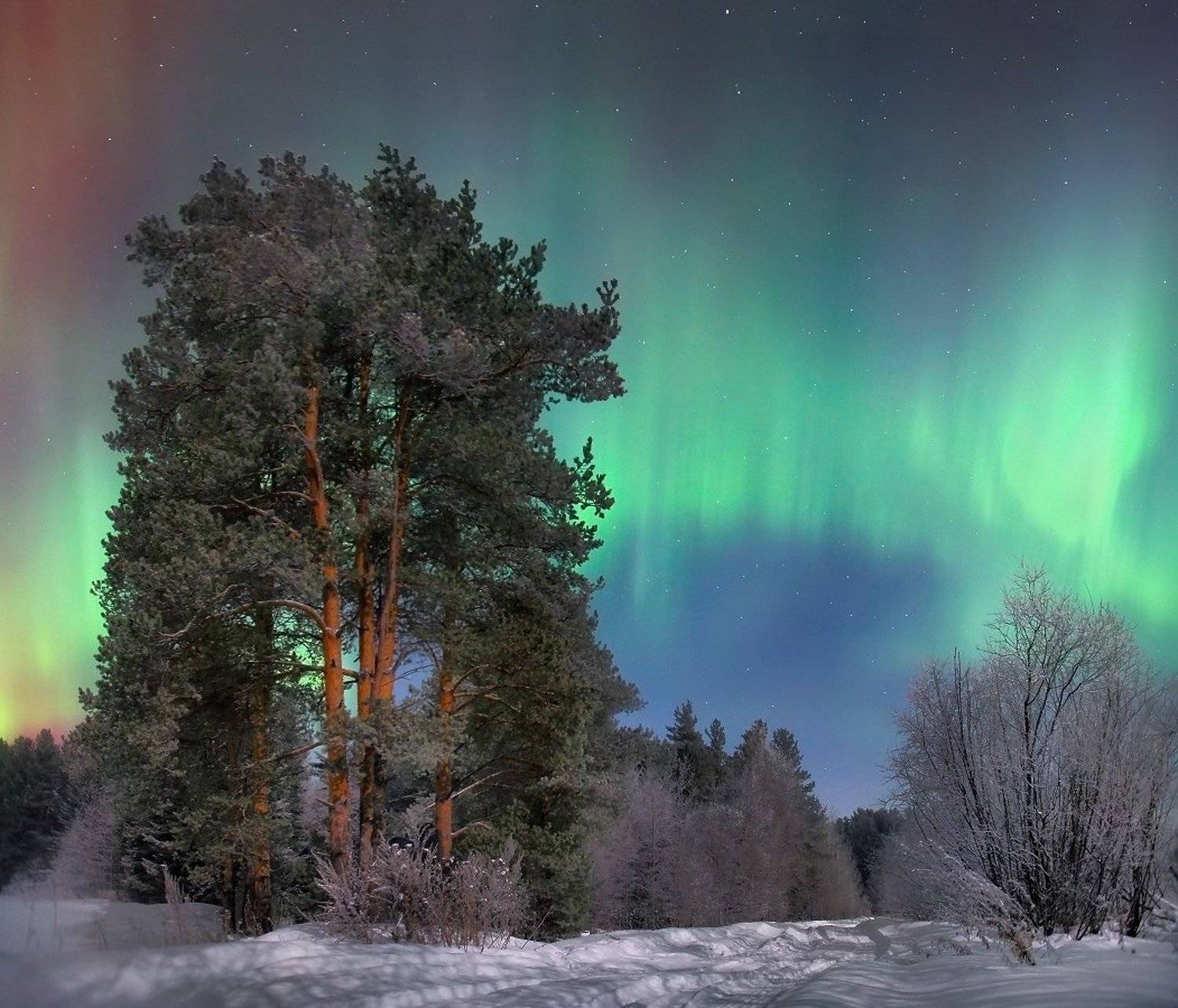 , Сергей Макурин