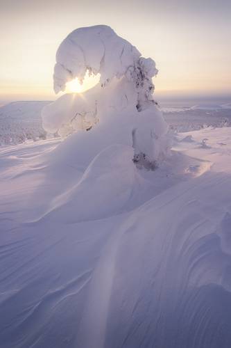Заигрывая с солнцем