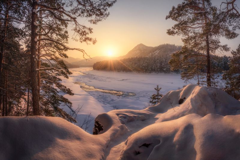 алтай, горный алтай, манжерок, майминский район, катунь, нижняя катунь, скованная льдом, снежный пейзаж, зимний закат, февраль, зима, горы, сосны, сугробы, золотой час Золотые сугробы фото превью