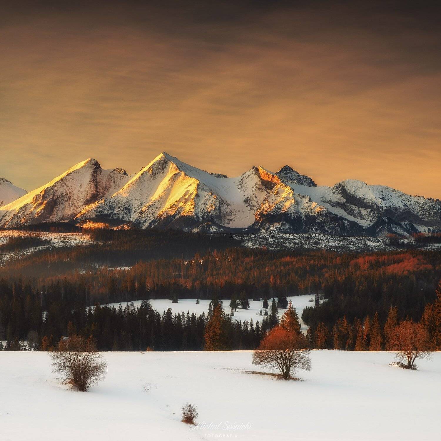 #tatry #tatras #mountains #snow #winter #tree #poland #best #nature, Michał Sośnicki