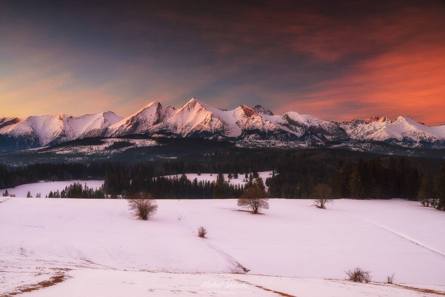 #tatry #tatras #mountains #snow #winter #tree #poland #best #nature #benro #pentax, Michał Sośnicki