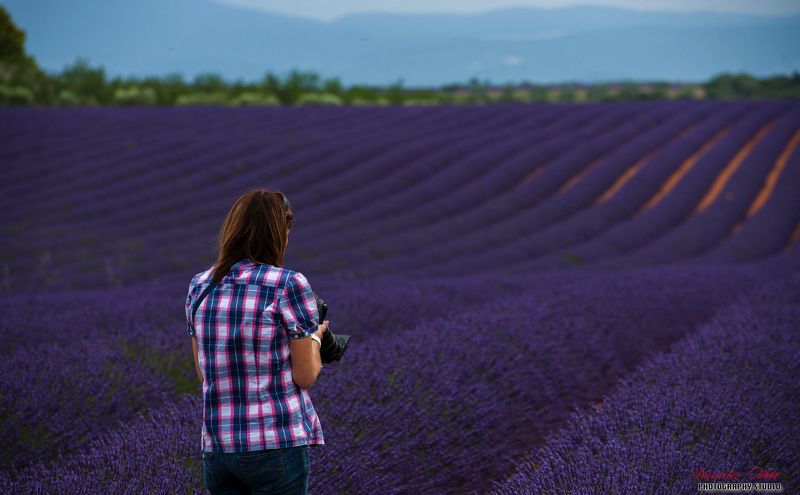 MVD фото превью