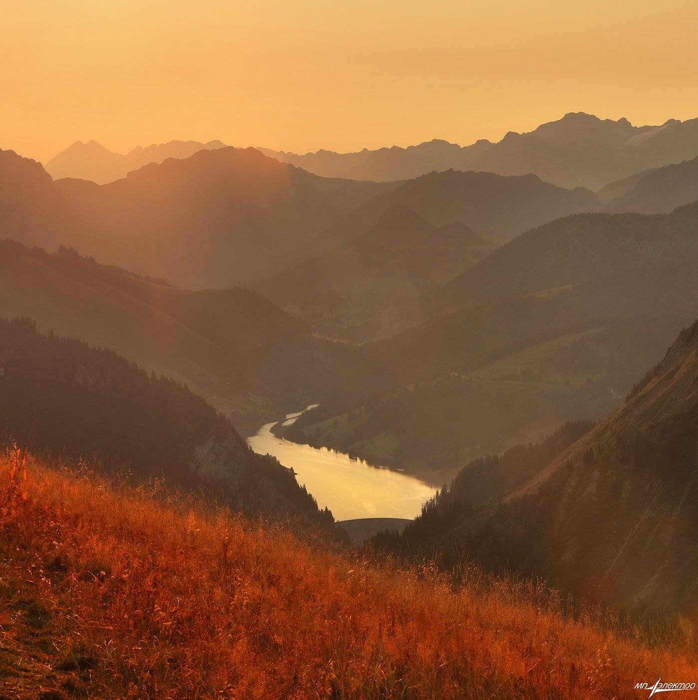 swiss, Матвеев Николай