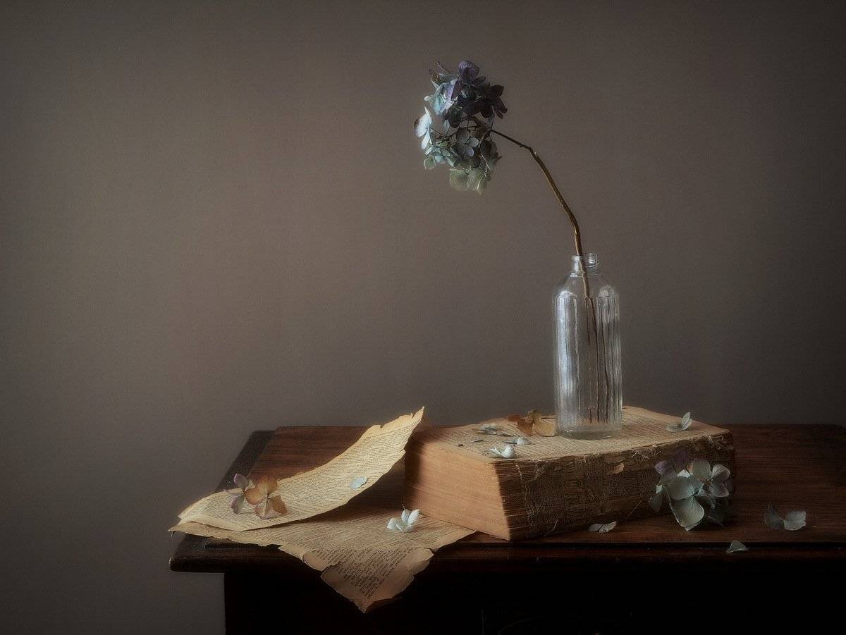 сергей алексеев, натюрморт, Сергей Алексеев