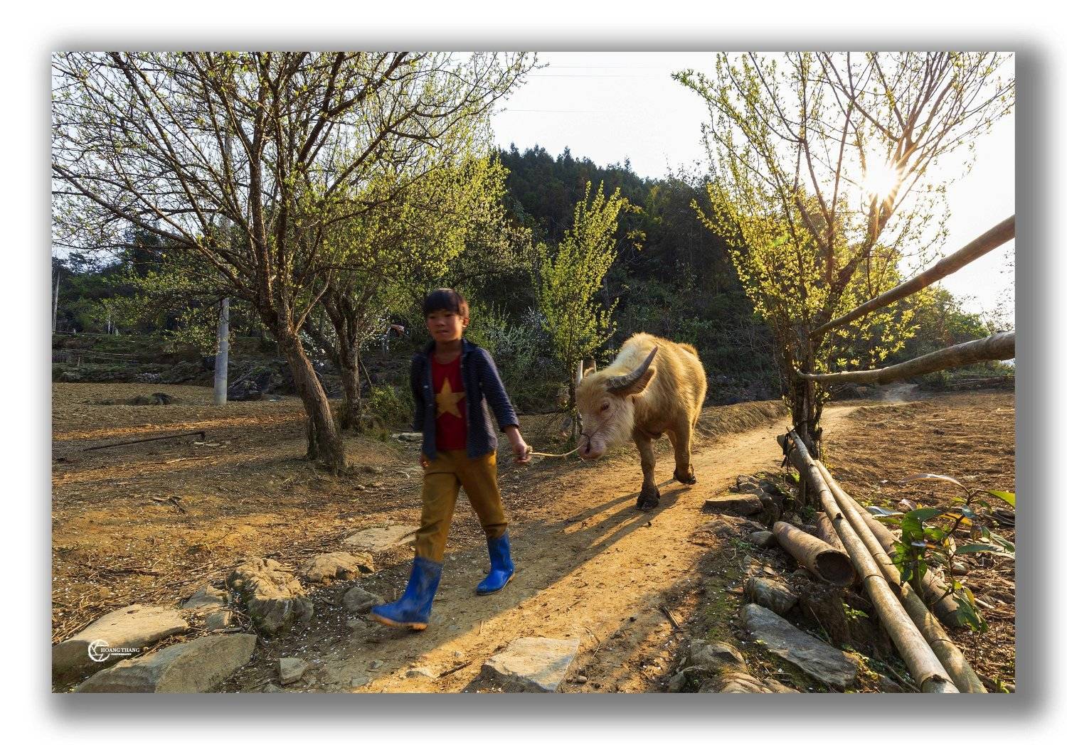 leaving home . Автор: Hoang Tat Thang , Hoang Tat Thang