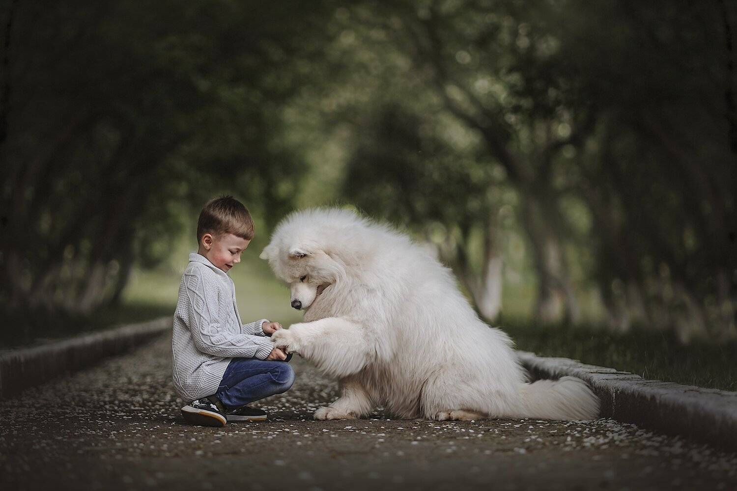 , Ксения Лысенкова