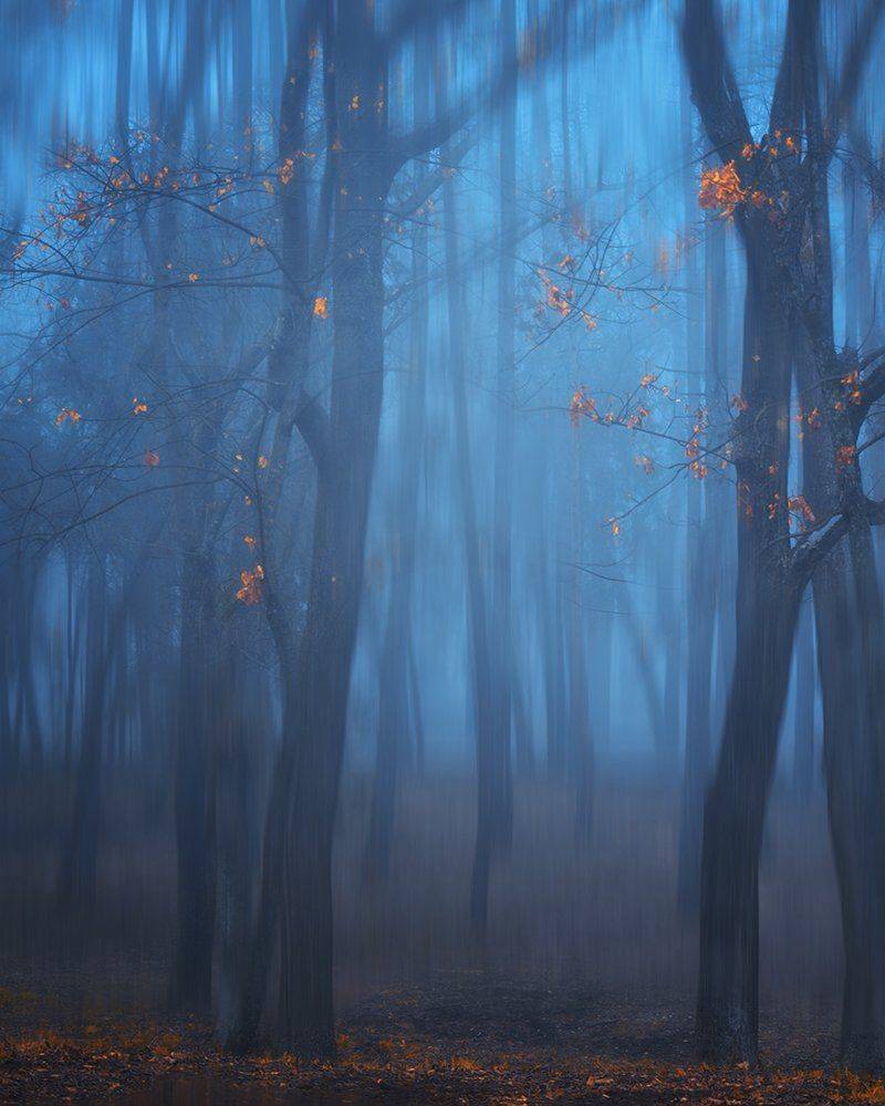 , Геннадий Чеботарев